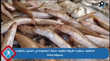«تنظيف سهل» طريقة تنظيف سمك المكرونة في المنزل بخطوات بسيطة وآمنة